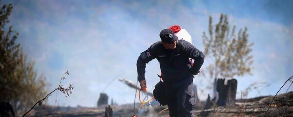 Пожарный работает на месте ЧП в Боржоми-Харагаульском лесу - Sputnik Грузия