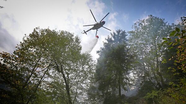 Пожарный вертолет участвует в тушении пожара в Боржоми-Харагаульском лесу - Sputnik Грузия