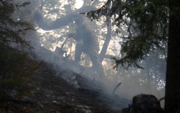Военнослужащий участвует в ликвидации пожара в Боржоми-Харагаульском лесу - Sputnik Грузия