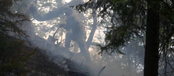 ხანძარი ტყეში - Sputnik საქართველო