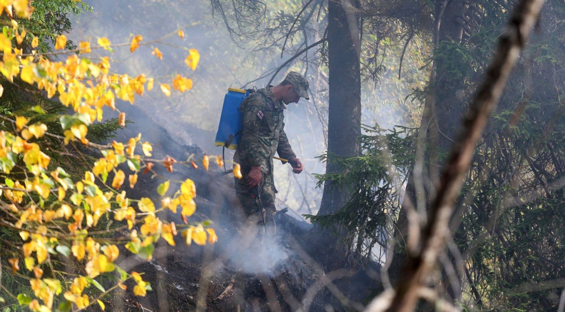 Военнослужащий участвует в ликвидации пожара в Боржоми-Харагаульском лесу - Sputnik Грузия, 1920, 23.06.2022