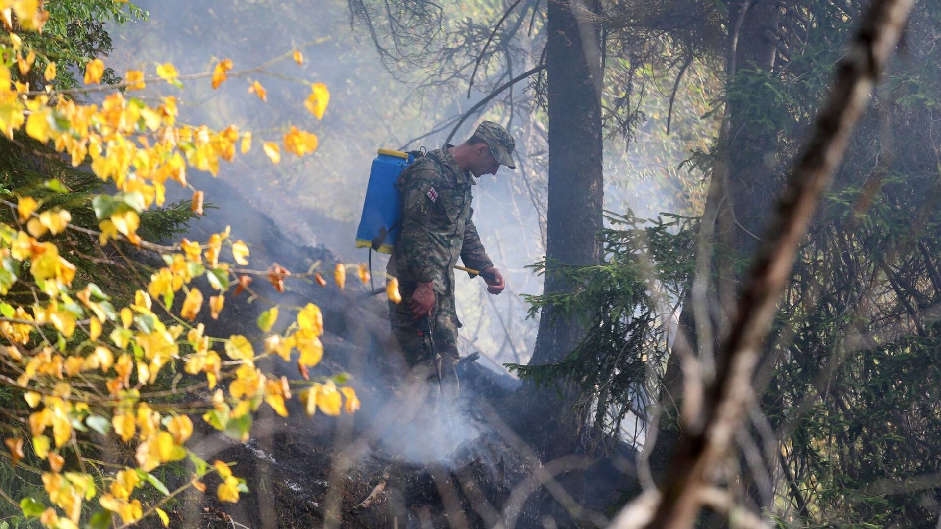 Военнослужащий участвует в ликвидации пожара в Боржоми-Харагаульском лесу - Sputnik Грузия, 1920, 18.07.2022