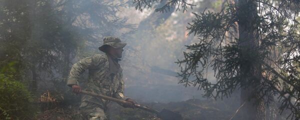 ხანძართან ბრძოლა ხანძართან ბრძოლა - Sputnik საქართველო