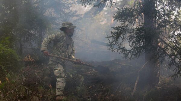Военнослужащий участвует в ликвидации пожара в Боржоми-Харагаульском лесу - Sputnik Грузия