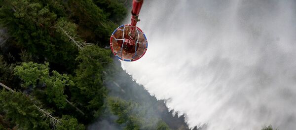 შსს–ს ვერტმფრენი ტყის ხანძრის ჩაქრობისას შსს–ს ვერტმფრენი ტყის ხანძრის ჩაქრობისას - Sputnik საქართველო