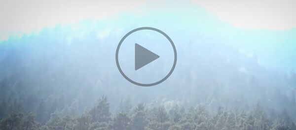 ხანძარი აბასთუმანში - Sputnik საქართველო