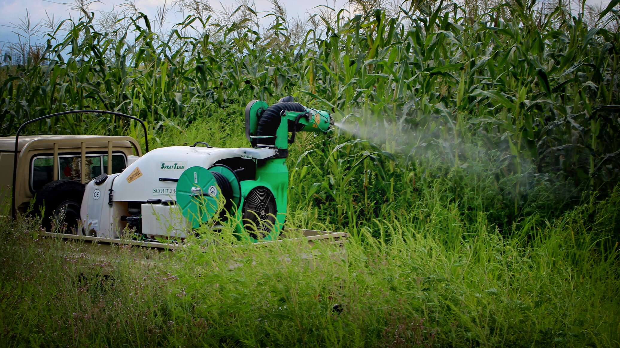 Борьба с мраморными клопами в Грузии продолжается - 26.07.2023, Sputnik ...