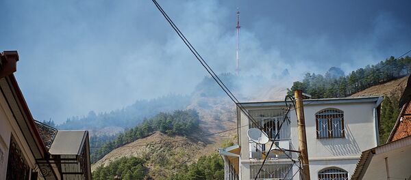 Пожар на горе Мтацминда Пожар на горе Мтацминда - Sputnik Грузия