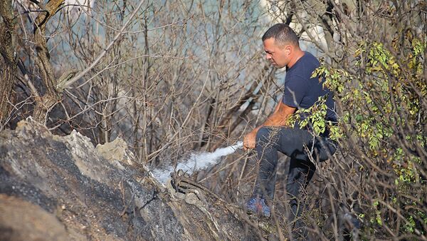 Пожарный участвует в ликвидации пожара - Sputnik Грузия