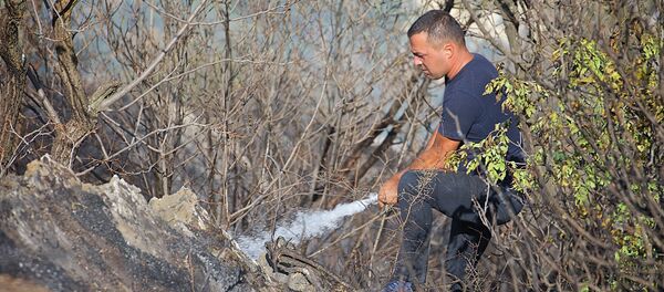 Пожарный участвует в ликвидации пожара на горе Мтацминда - Sputnik Грузия