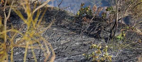 Последствия пожара на горе Мтацминда - Sputnik Грузия