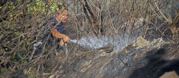 მეხანძრე მეხანძრე - Sputnik საქართველო