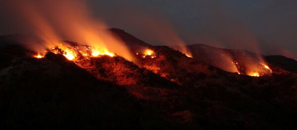 Лесные пожары в США, Калифорния - каньон Ла Туна - Sputnik Грузия