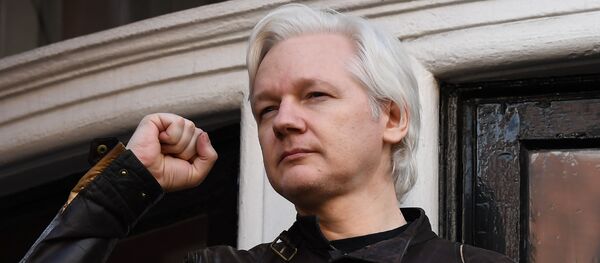 Основатель Викиликс Джулиан Ассанж Основатель Викиликс Джулиан Ассанж - Sputnik Грузия