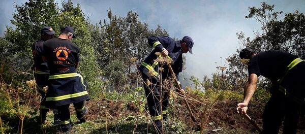 Ликвидация лесного пожара в высокогорной Аджарии Ликвидация лесного пожара в высокогорной Аджарии - Sputnik Грузия