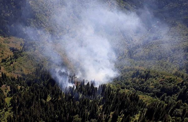 Работы по тушению пожара осложняет горный рельефожара в высокогорной Аджарии - Sputnik Грузия