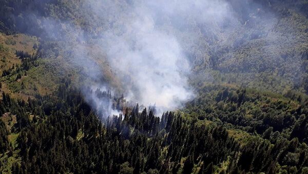 Ликвидация лесного пожара в высокогорной Аджарии - Sputnik Грузия
