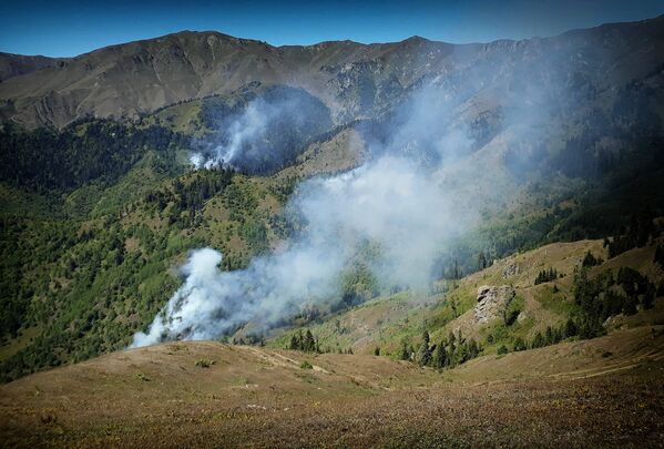 К настоящему времени в горах сгорело уже более четырех гектаров леса - Sputnik Грузия