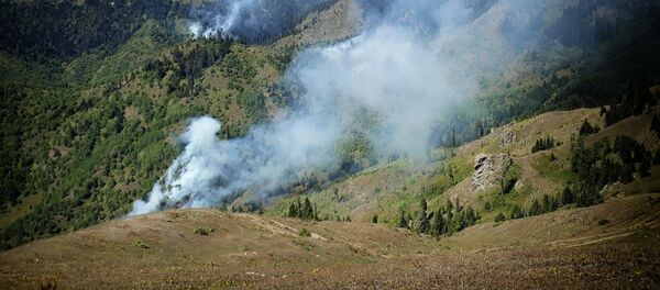 ხანძარი აჭარაში - Sputnik საქართველო