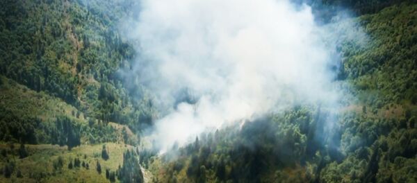 მაღალმთიან აჭარაში ტყის ხანძარს 200-ზე მეტი მეხანძრე-მაშველი აქრობდა მაღალმთიან აჭარაში ტყის ხანძარს 200-ზე მეტი მეხანძრე-მაშველი აქრობდა - Sputnik საქართველო