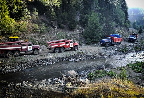 Ликвидация лесного пожара в Хулойском районе Аджарии - Sputnik Грузия