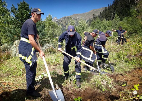 Пожарные и спасатели участвуют в локализации лесного пожара в высокогорной Аджарии - Sputnik Грузия