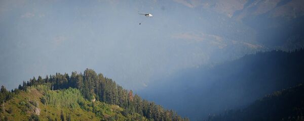 Вертолет участвует в тушении лесного пожара в высокогорной Аджарии - Sputnik Грузия