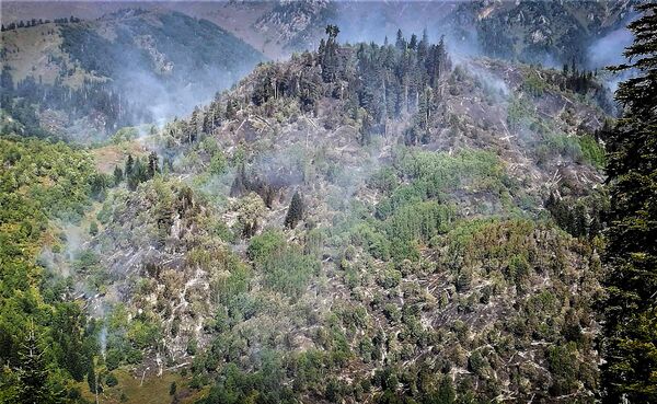 Лес на склонах горы Шавнабада пока продолжает гореть, хотя по данным чрезвычайного штаба, за минувшие сутки новых очагов огня не появилось - Sputnik Грузия