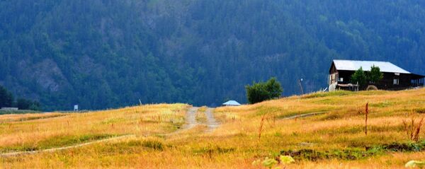 სახლი სოფლად სახლი სოფლად - Sputnik საქართველო