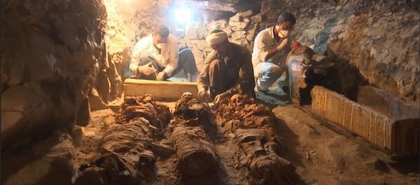 Гробница возрастом 3500 лет найдена в Египте - Sputnik Грузия