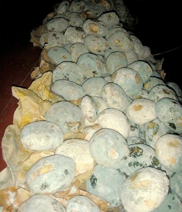 დამბალხაჭო დამბალხაჭო - Sputnik საქართველო