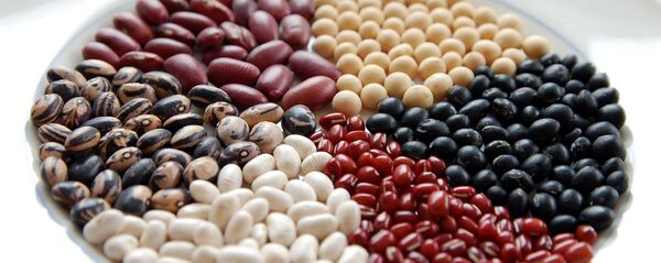 პარკოსანი კულტურები პარკოსანი კულტურები - Sputnik საქართველო