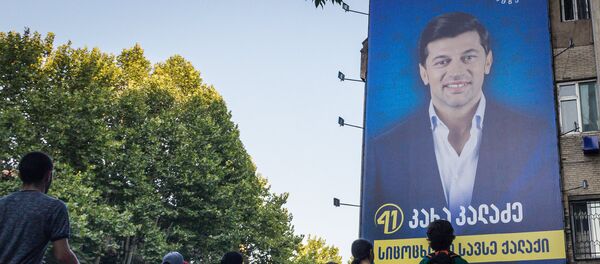 კალაძის ბანერი კალაძის ბანერი - Sputnik საქართველო