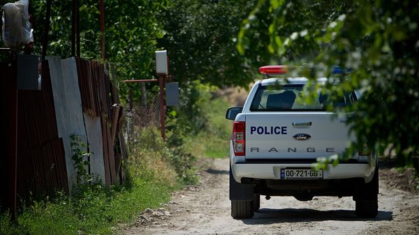 Полиция в сельской местности - Sputnik Грузия