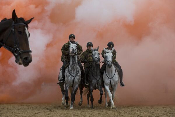 Тренировка всадников голландской конницы в Схевенингене, Нидерланды - Sputnik Грузия