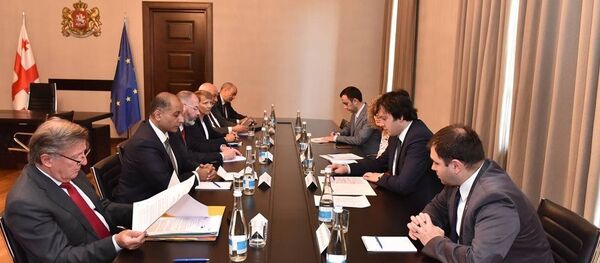 Заседание парламентского комитета ассоциации Евросоюз - Грузия Заседание парламентского комитета ассоциации Евросоюз - Грузия - Sputnik Грузия