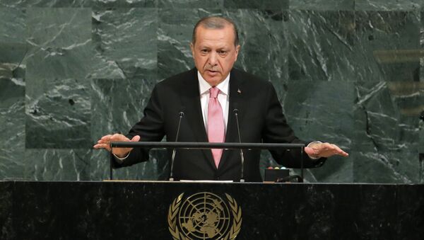 Президент Турции Тайип Эрдоган на 72-й ГА ООН - Sputnik Грузия