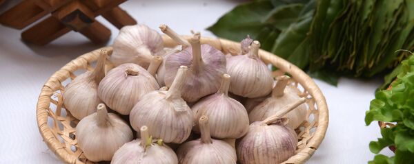 ნიორი ნიორი - Sputnik საქართველო