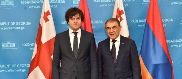 ირაკლი კობახიძე და არა ბაბლოიანი ირაკლი კობახიძე და არა ბაბლოიანი - Sputnik საქართველო