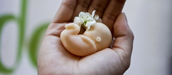 Женщина держит куклу плода в ладони у здания Конституционного суда, где собираются группы по борьбе с абортами в Сантьяго, Чили - Sputnik Грузия