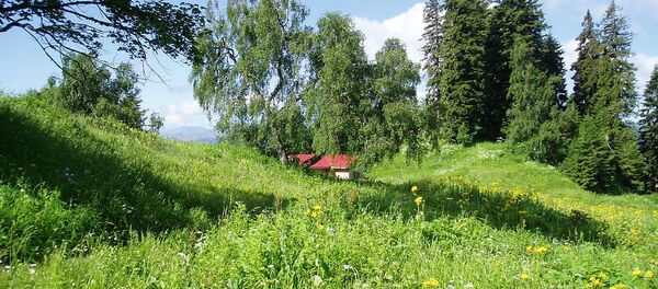 აბასთუმანი აბასთუმანი - Sputnik საქართველო