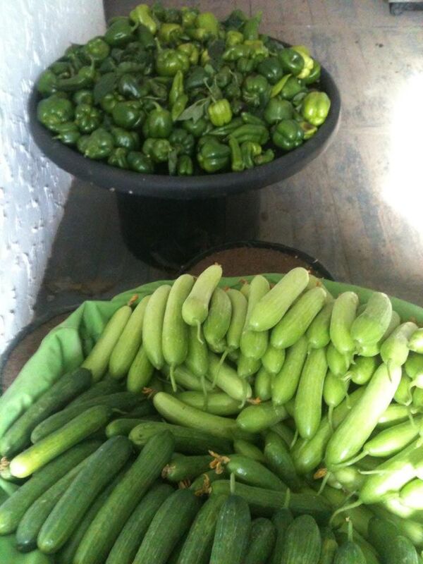 კიტრი და წიწაკა კიტრი და წიწაკა - Sputnik საქართველო