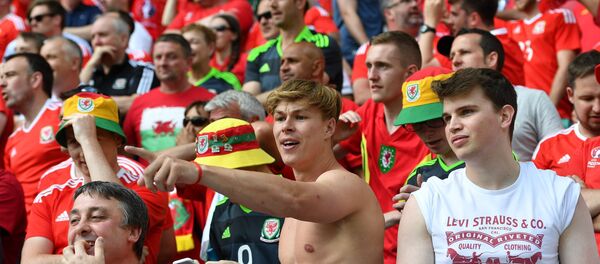 Валлийские болельщики - Sputnik Грузия
