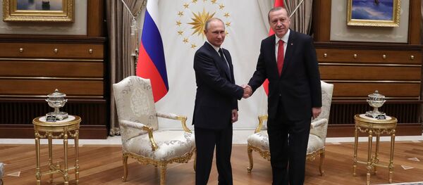 Президент РФ Владимир Путин и президент Турции Реджеп Тайип Эрдоган - Sputnik Грузия