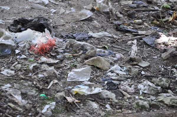 Мусор на природе в Грузии - Sputnik Грузия