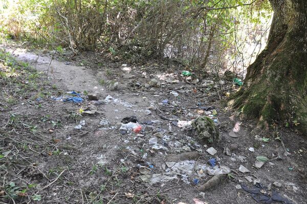 Мусор на природе под инжировым деревом, недалеко от города Чиатура - Sputnik Грузия
