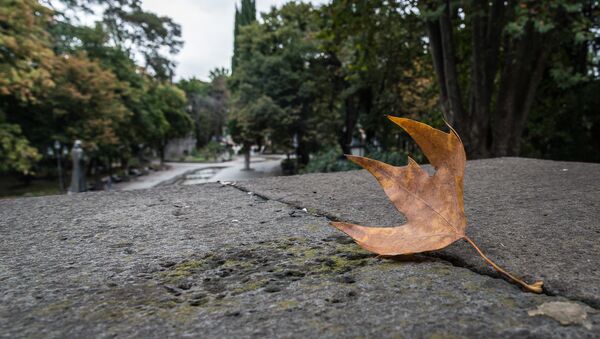 Осень в Тбилиси - Sputnik Грузия