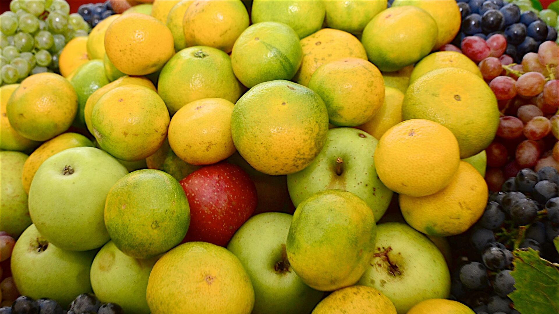 Мандарины, лимоны и фрукты на сельскохозяйственной выставке в Аджарии - Sputnik Грузия, 1920, 18.10.2021
