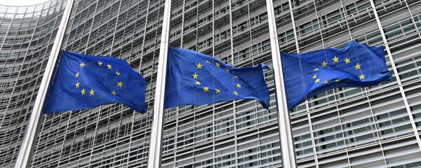 ევროკავშირის დროშები ევროკავშირის დროშები - Sputnik საქართველო