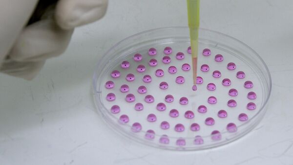 Исследователь работает с капельными эмбриональными стволовыми клетками в лаборатории сердца «Госпиталь до Коракао» в Сан-Паулу, Бразилия - Sputnik Грузия